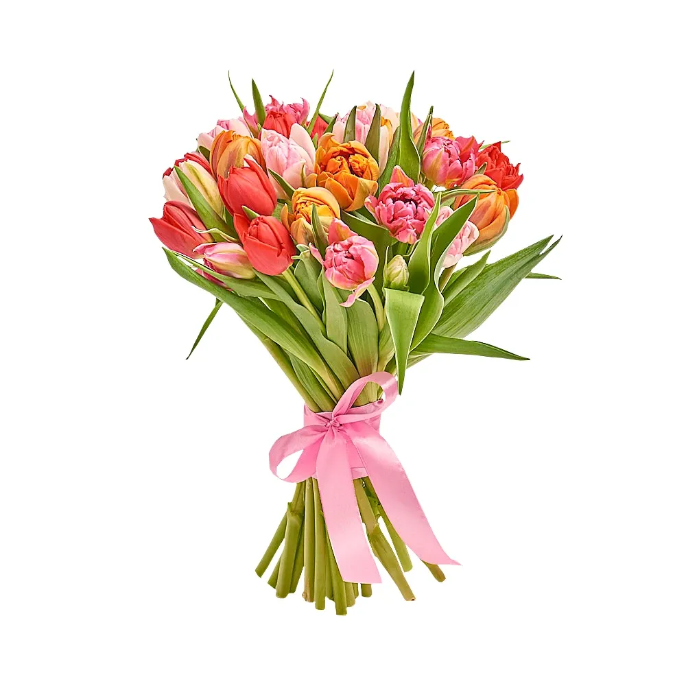 Букет из 25 пионовидных тюльпанов под ленту