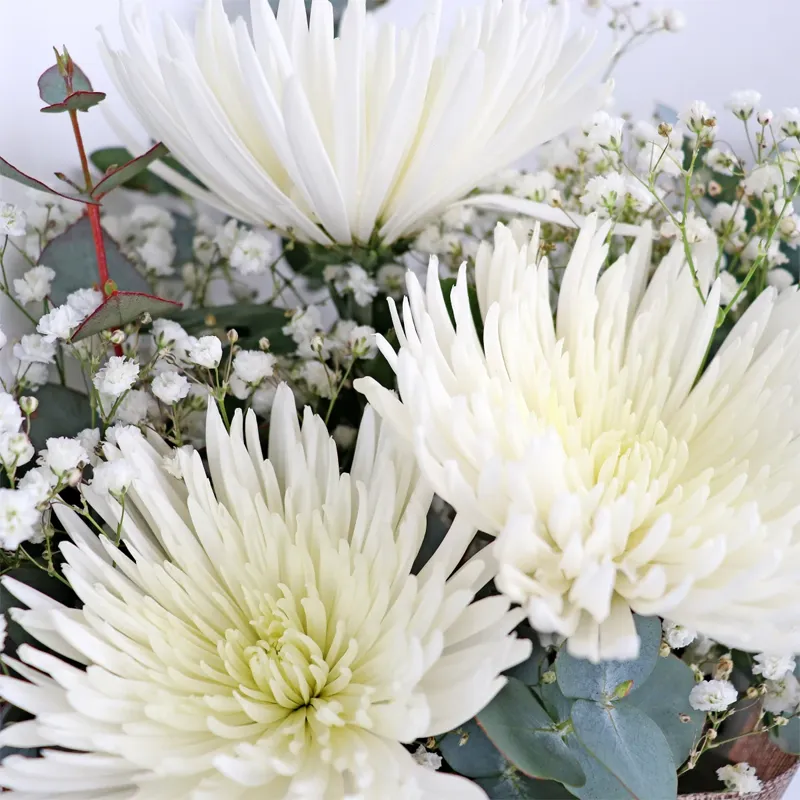 Букет из 3 одноголовых хризантем